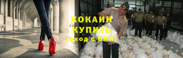 дживик Баксан