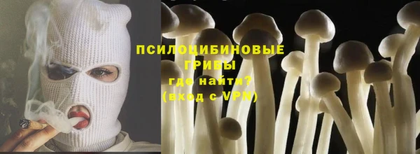 дживик Баксан