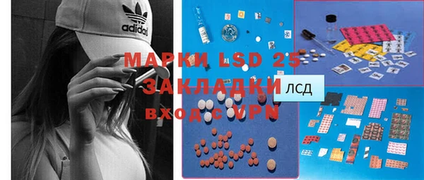 дживик Баксан