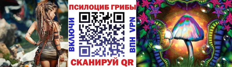 Псилоцибиновые грибы Psilocybine cubensis  Барыш 